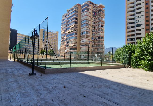 Appartamento a Benidorm - LIDERSOL 14G2 (2 CAMERE) Appartamento a Benidorm - LIDERSOL 14G2 (2 CAMERE)