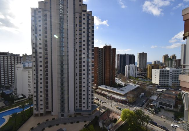 Appartamento a Benidorm - LIDERSOL 14G2 (2 CAMERE) Appartamento a Benidorm - LIDERSOL 14G2 (2 CAMERE)