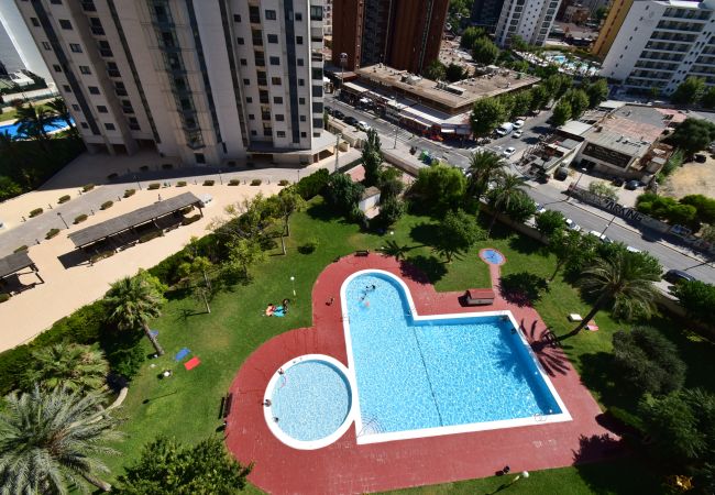 Appartamento a Benidorm - LIDERSOL 14G2 (2 CAMERE) Appartamento a Benidorm - LIDERSOL 14G2 (2 CAMERE)
