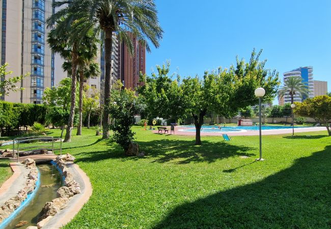 Appartamento a Benidorm - LIDERSOL 14G2 (2 CAMERE) Appartamento a Benidorm - LIDERSOL 14G2 (2 CAMERE)