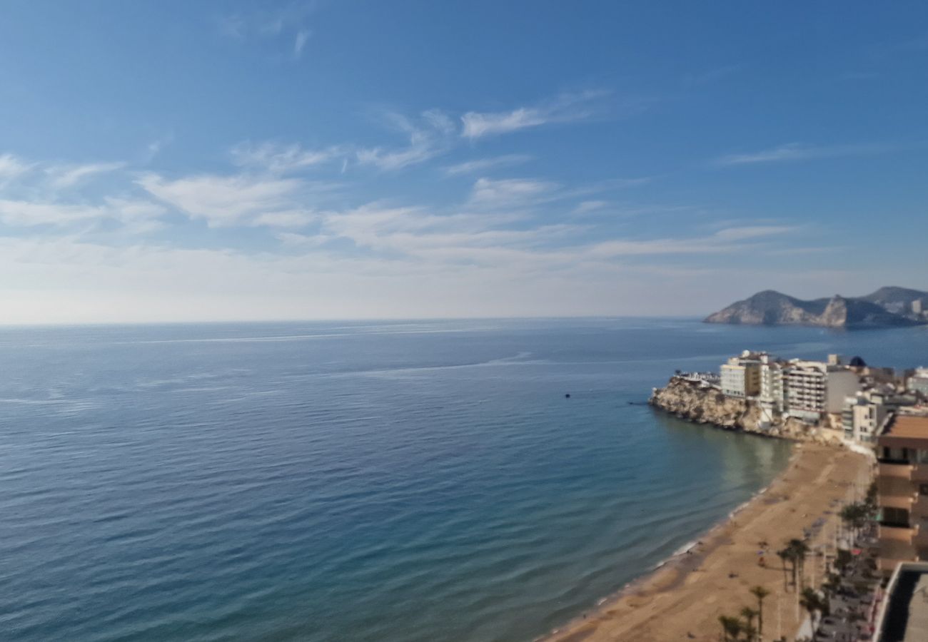 Studio a Benidorm - COBLANCA 1 (ESTUDIO)