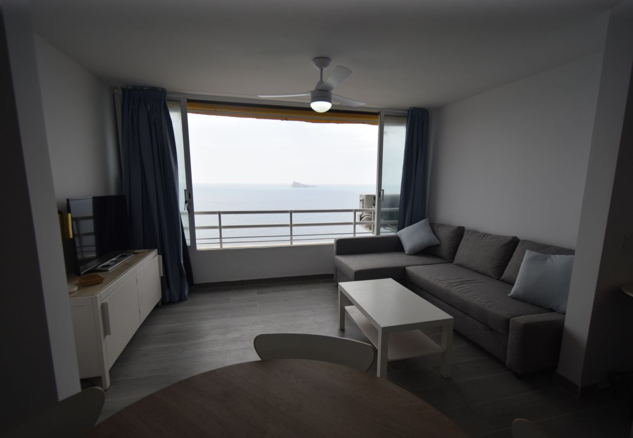 Studio a Benidorm - COBLANCA 1 (ESTUDIO)