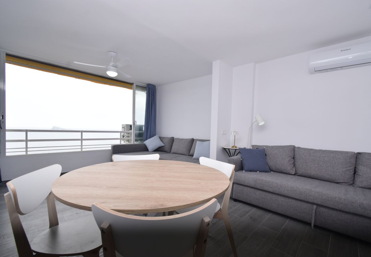 Studio a Benidorm - COBLANCA 1 (ESTUDIO)