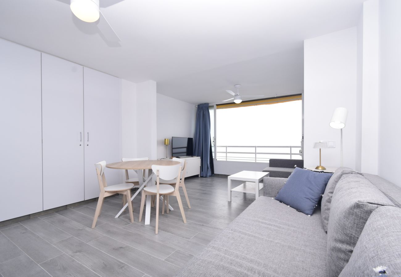 Studio a Benidorm - COBLANCA 1 (ESTUDIO)