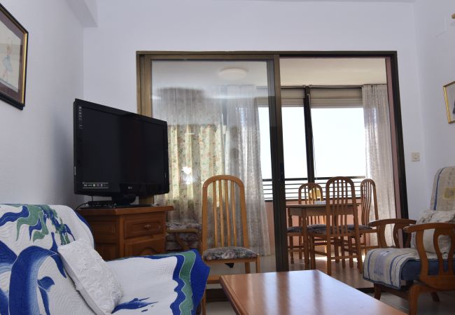 Appartamento a Benidorm - GEMELOS 12 19B T2 (1 CAMERA) Appartamento a Benidorm - GEMELOS 12 19B T2 (1 CAMERA)