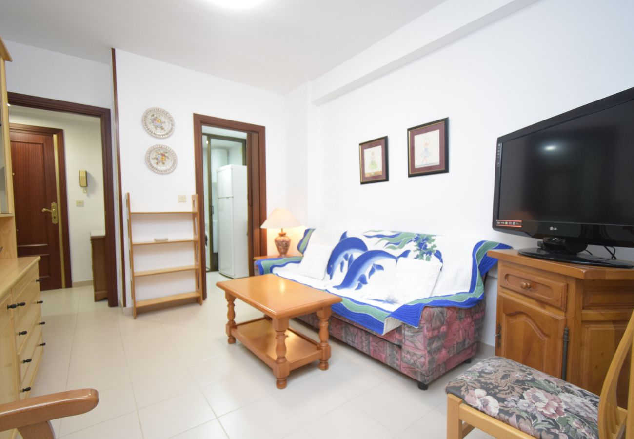Appartamento a Benidorm - GEMELOS 12 19B T2 (1 CAMERA)