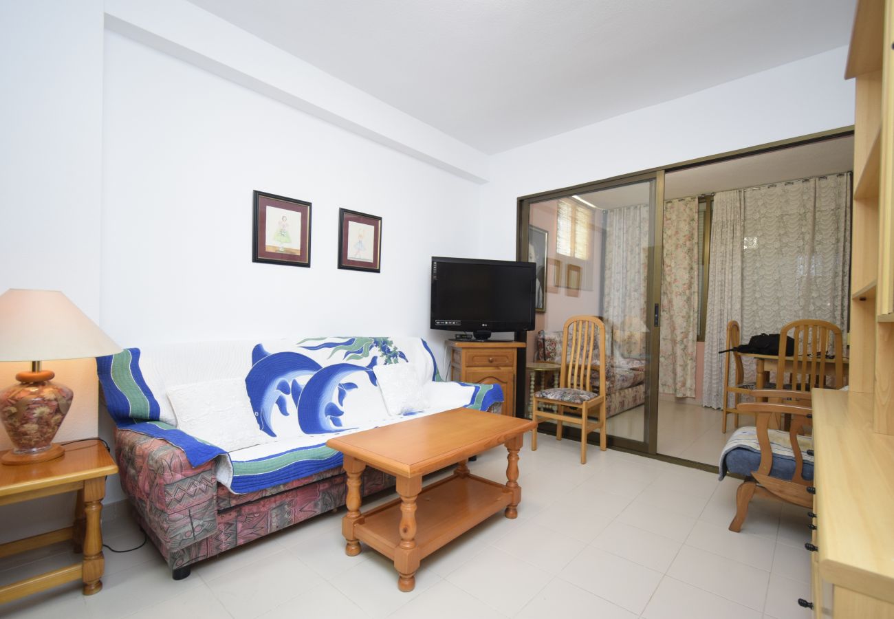 Appartamento a Benidorm - GEMELOS 12 19B T2 (1 CAMERA)