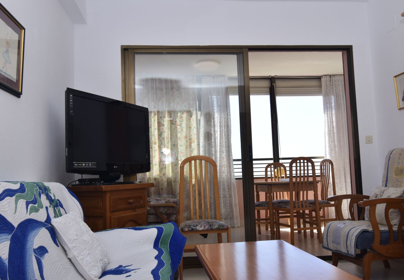 Appartamento a Benidorm - GEMELOS 12 19B T2 (1 CAMERA)