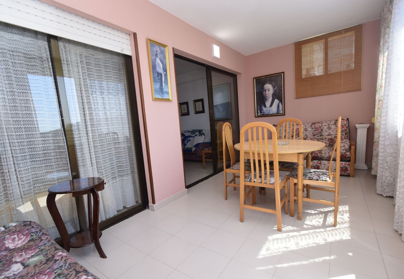 Appartamento a Benidorm - GEMELOS 12 19B T2 (1 CAMERA)