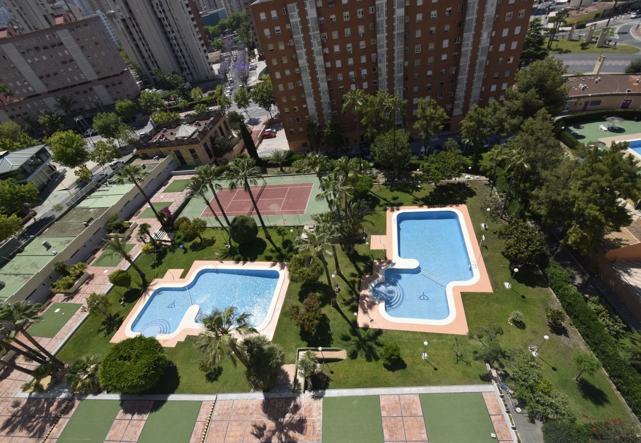 Appartamento a Benidorm - GEMELOS 12 19B T2 (1 CAMERA)