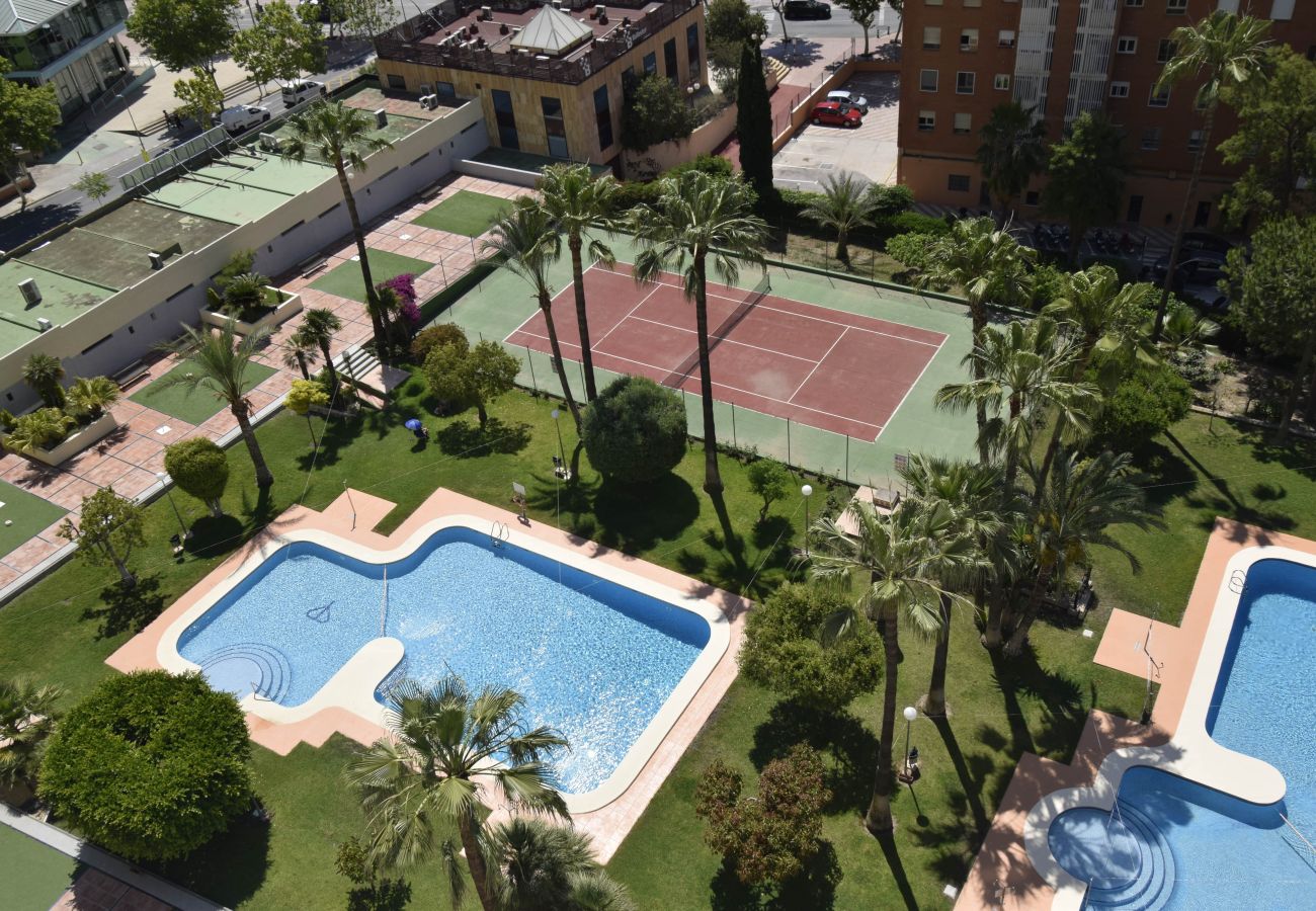Appartamento a Benidorm - GEMELOS 12 19B T2 (1 CAMERA)