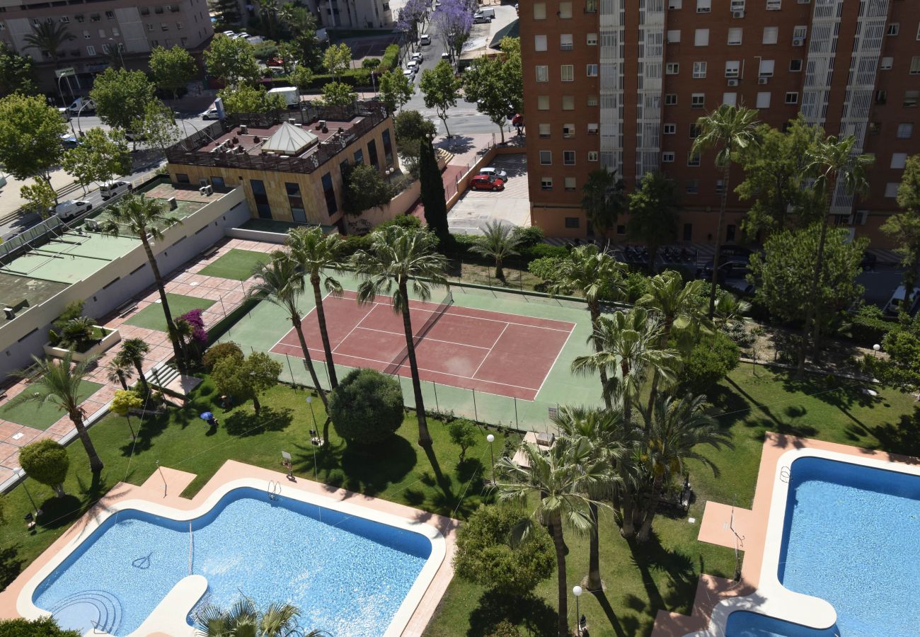 Appartamento a Benidorm - GEMELOS 12 19B T2 (1 CAMERA)