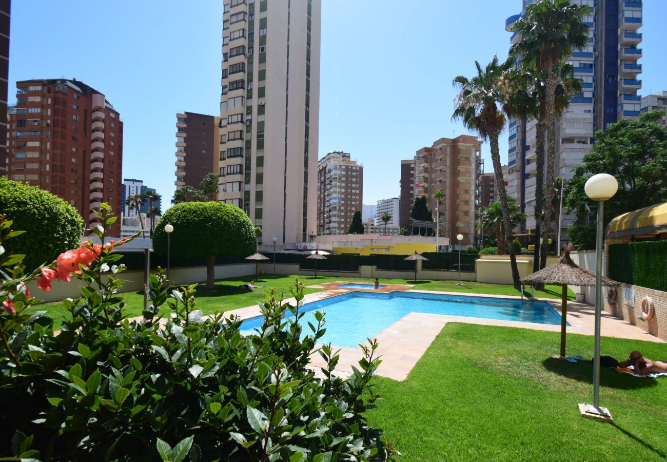 Appartamento a Benidorm - TORRE IPANEMA 9D