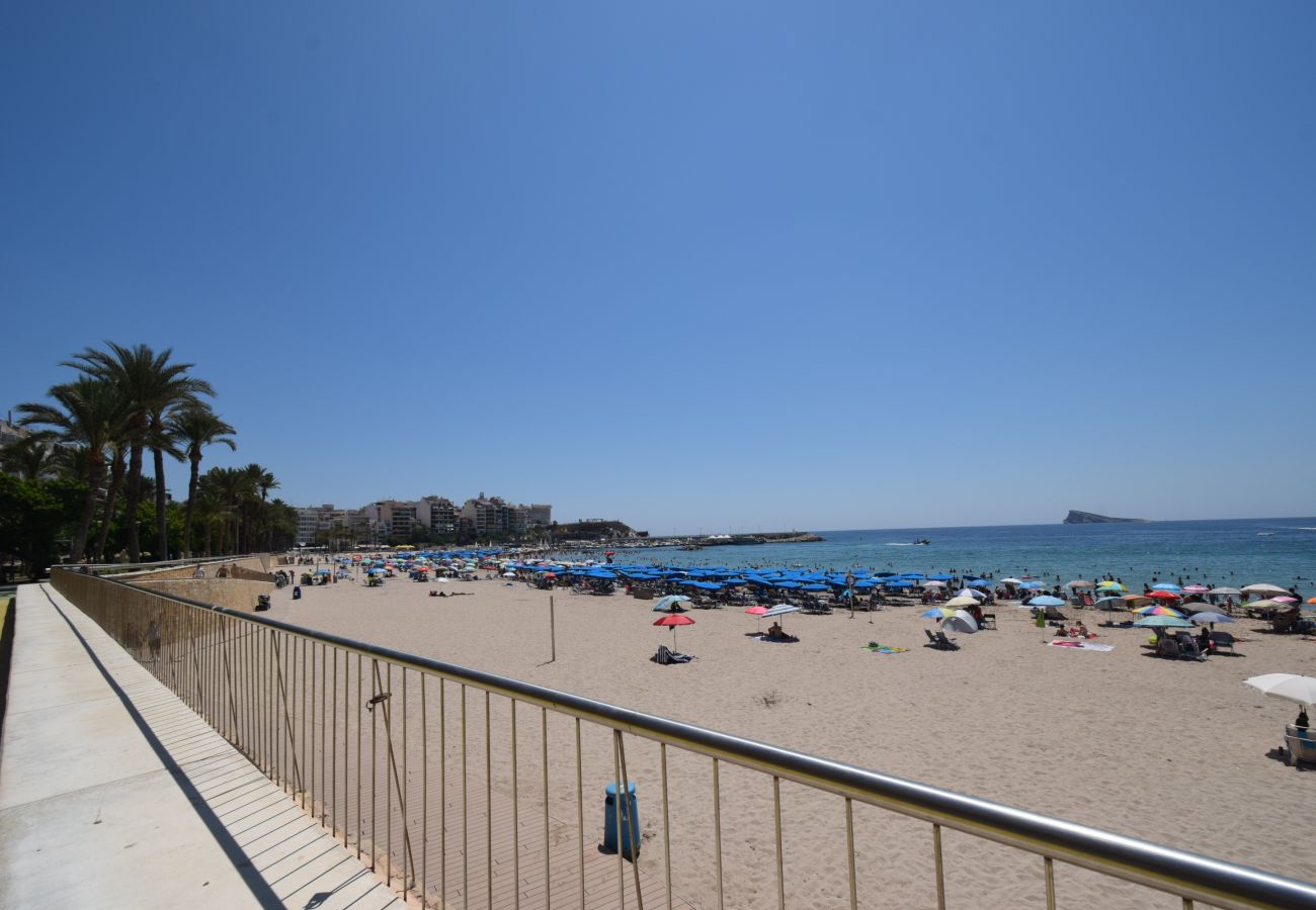 Studio a Benidorm - MARCONI (MONOLOCALE)