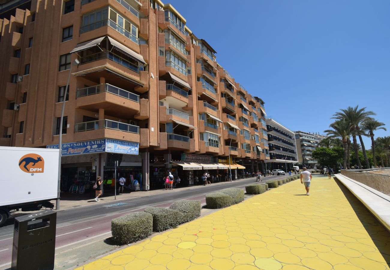 Studio a Benidorm - MARCONI (MONOLOCALE)