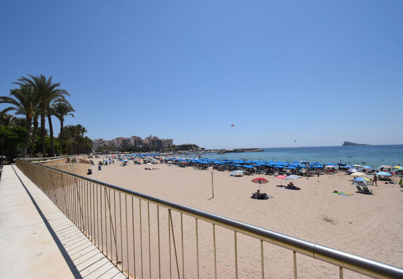Studio a Benidorm - MARCONI (MONOLOCALE)