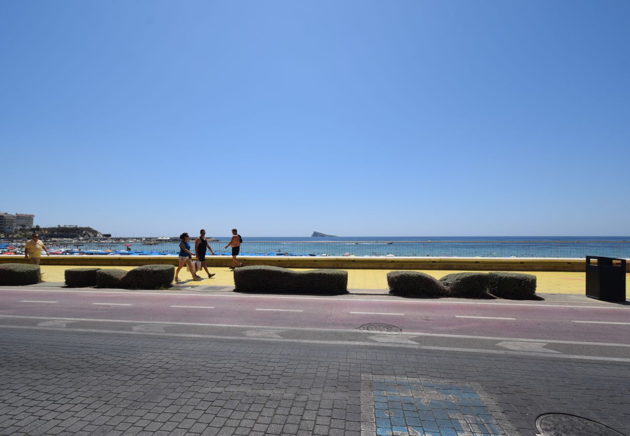 Studio a Benidorm - MARCONI (MONOLOCALE)
