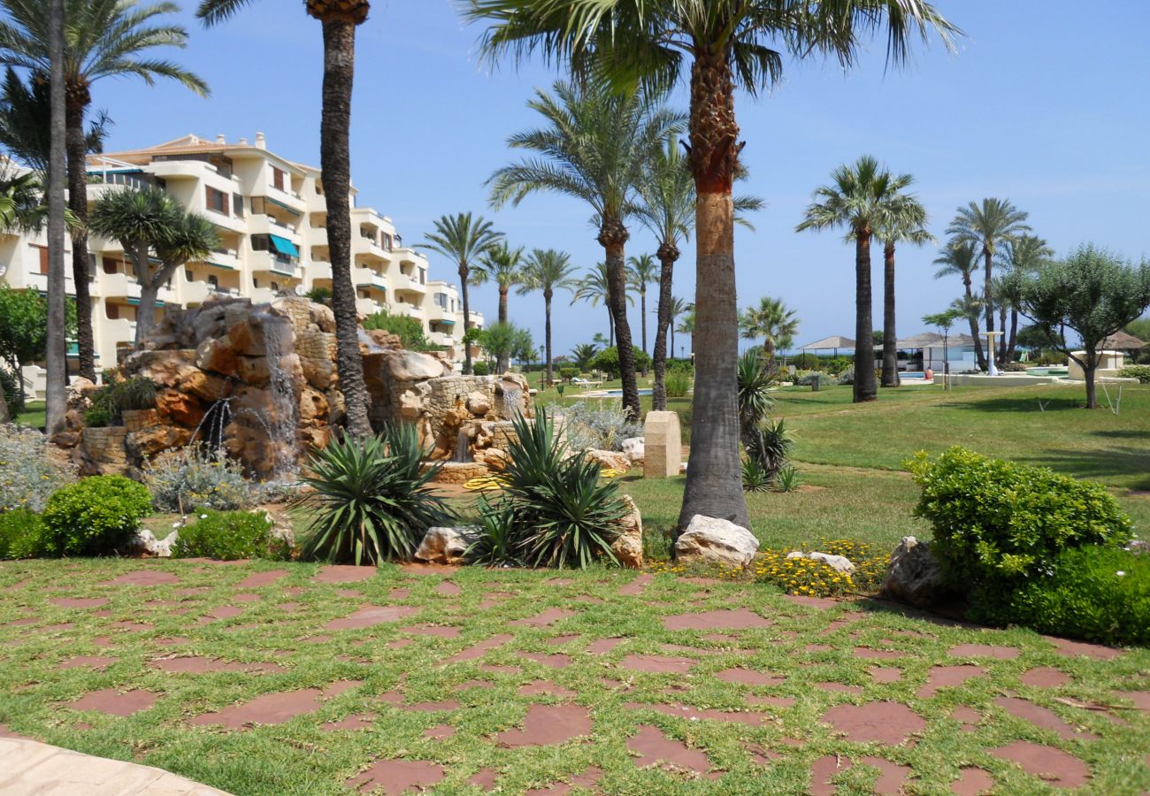 Apartamento em Denia - Playa Grande-2-dormitorios