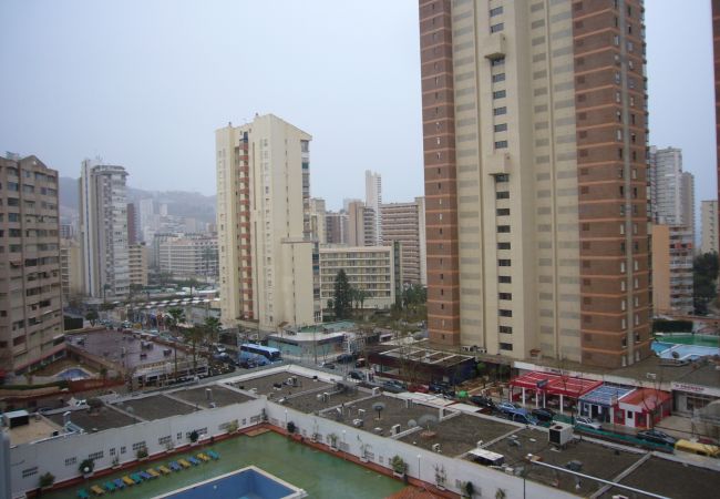 Apartamento em Benidorm - ALHAMBRA (1 Quarto) Apartamento em Benidorm - ALHAMBRA (1 Quarto)