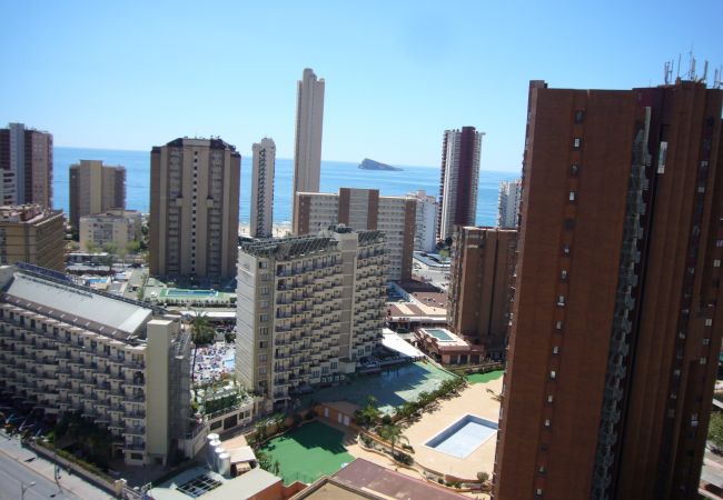 Apartamento em Benidorm - GEMELOS 26 (1 QUARTO) Apartamento em Benidorm - GEMELOS 26 (1 QUARTO)