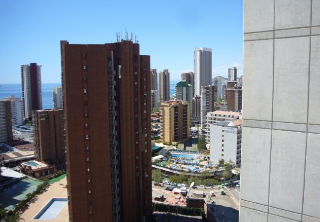 Apartamento em Benidorm - GEMELOS 26 (1 QUARTO) Apartamento em Benidorm - GEMELOS 26 (1 QUARTO)