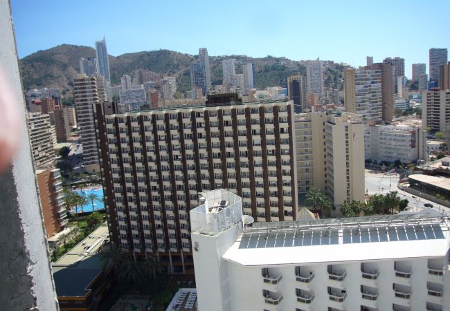 Apartamento em Benidorm - GEMELOS 26 (1 QUARTO) Apartamento em Benidorm - GEMELOS 26 (1 QUARTO)