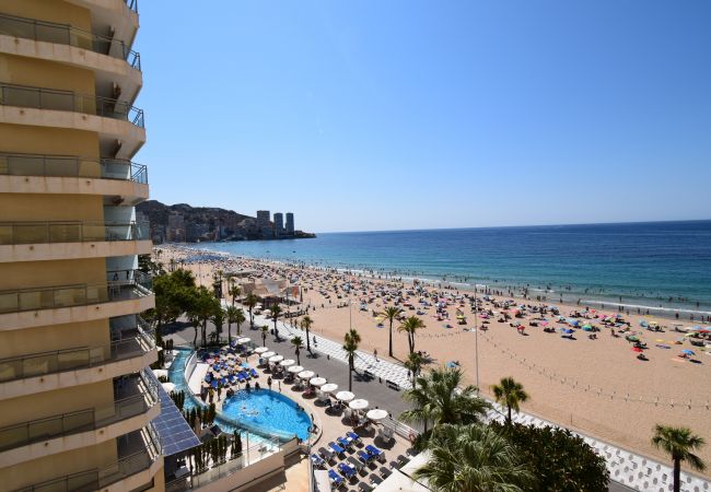 Estúdio em Benidorm - MIRAMAR PLAYA (ESTÚDIO) Estúdio em Benidorm - MIRAMAR PLAYA (ESTÚDIO)