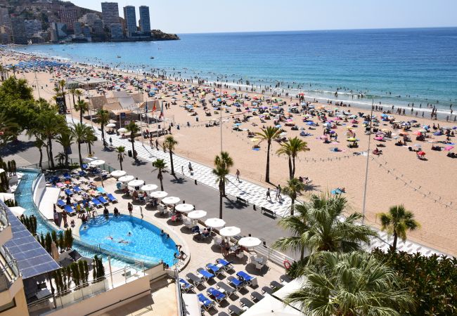 Estúdio em Benidorm - MIRAMAR PLAYA (ESTÚDIO) Estúdio em Benidorm - MIRAMAR PLAYA (ESTÚDIO)