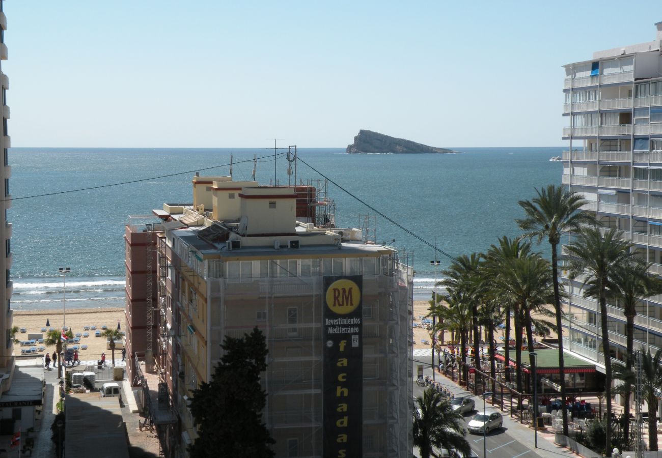 Estúdio em Benidorm - DUCADO (ESTUDO) BENIDORM