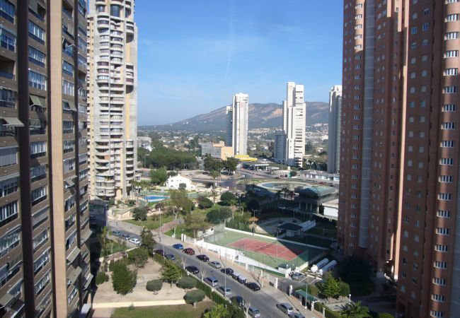 Apartamento em Benidorm - ISLANDIA (1 QUARTO) Apartamento em Benidorm - ISLANDIA (1 QUARTO)