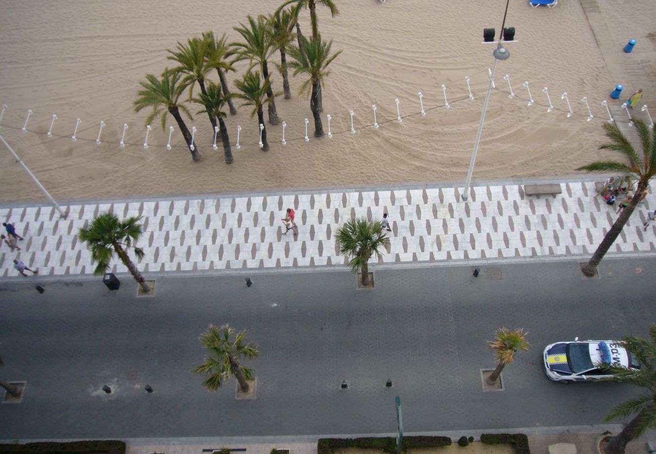 Estúdio em Benidorm - LAS PALMERAS (ESTUDO) BENIDORM