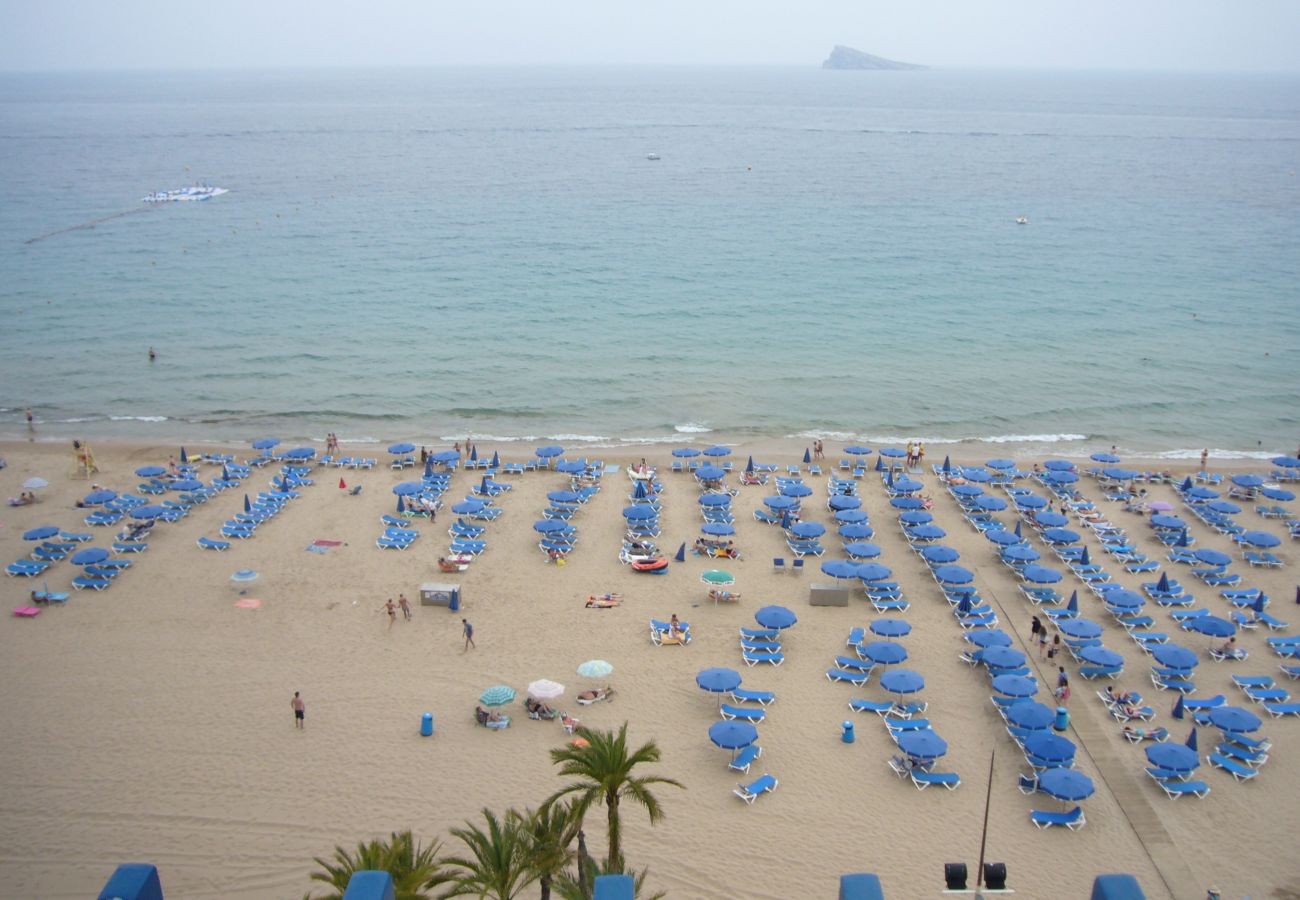 Estúdio em Benidorm - LAS PALMERAS (ESTUDO) BENIDORM