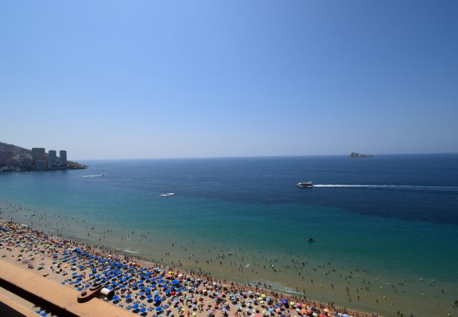 Apartamento em Benidorm - PRINCIPADO ARENA (3 QUARTOS) Apartamento em Benidorm - PRINCIPADO ARENA (3 QUARTOS)