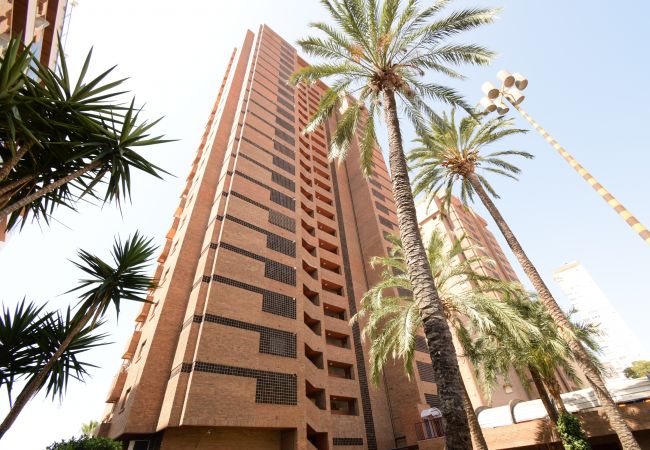 Apartamento em Benidorm - PRINCIPADO ARENA (3 QUARTOS)