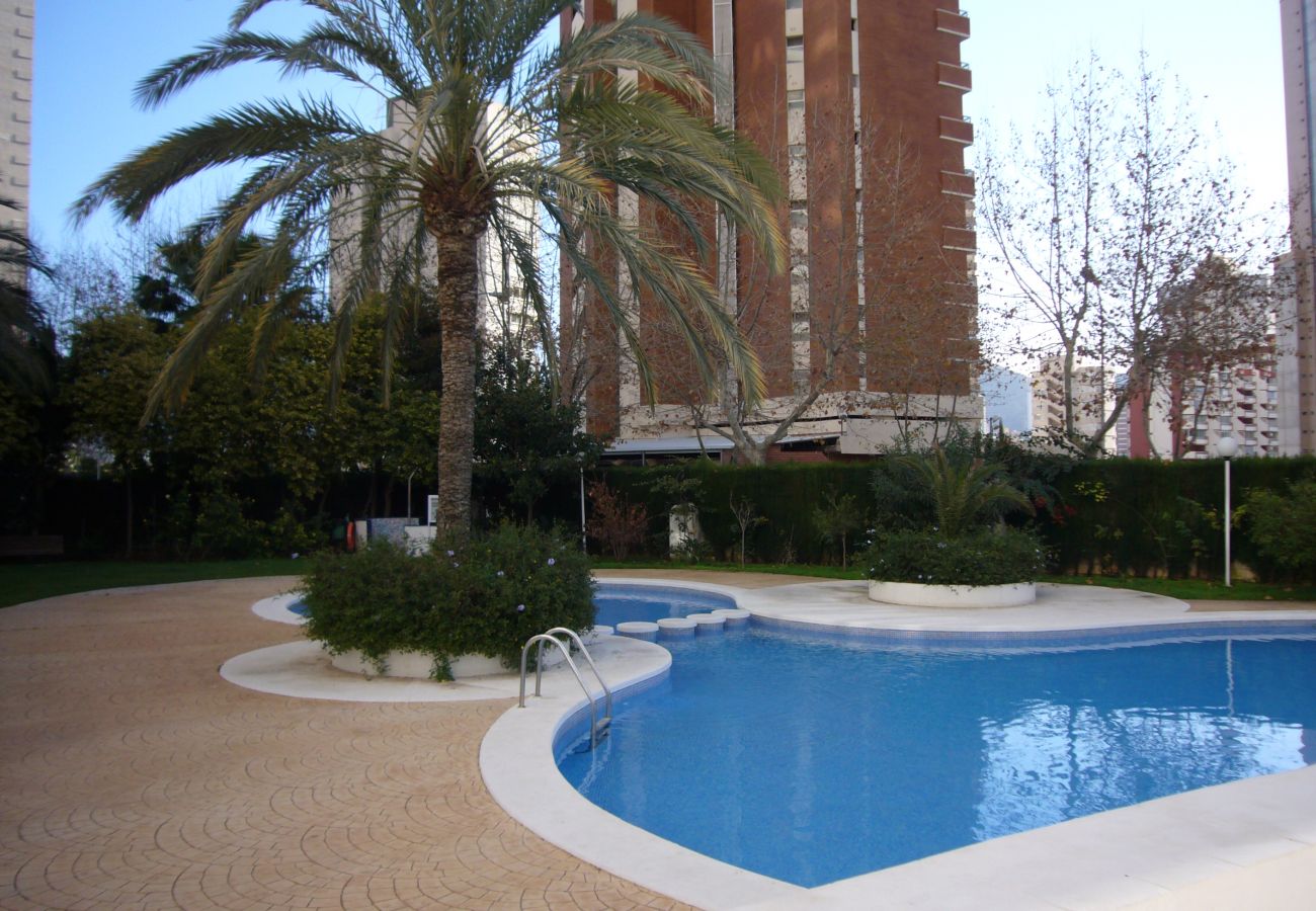 Apartamento em Benidorm - PARQUE EUROPA (1 QUARTO)