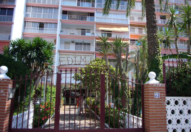 Apartamento em Benidorm - EDIMAR (3 QUARTOS) BENIDORM Apartamento em Benidorm - EDIMAR (3 QUARTOS) BENIDORM