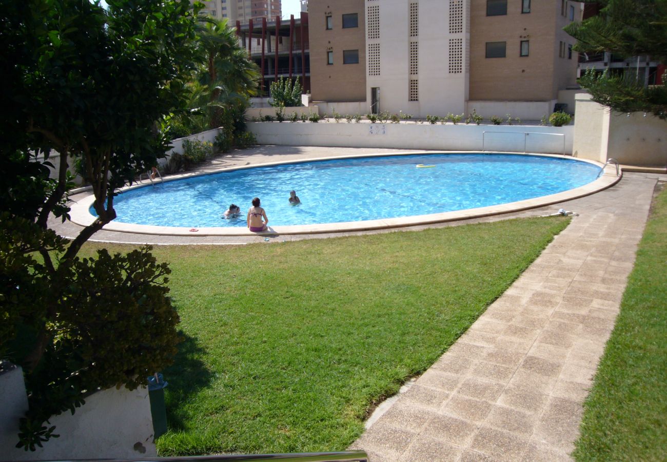 Apartamento em Benidorm - LA PINTA (1 QUARTO) BENIDORM