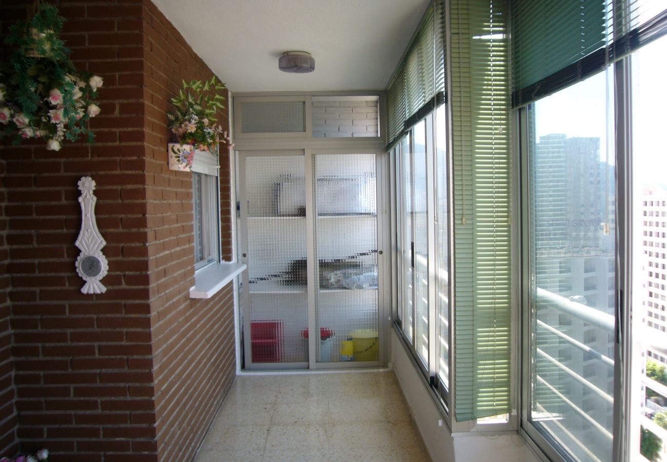 Apartamento em Benidorm - LA PINTA (1 QUARTO) BENIDORM