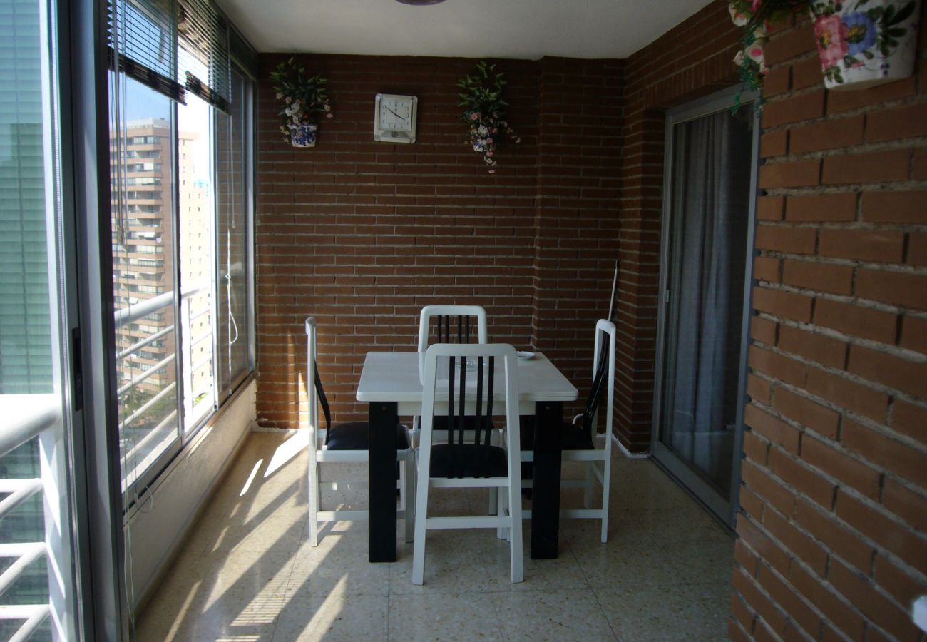 Apartamento em Benidorm - LA PINTA (1 QUARTO) BENIDORM