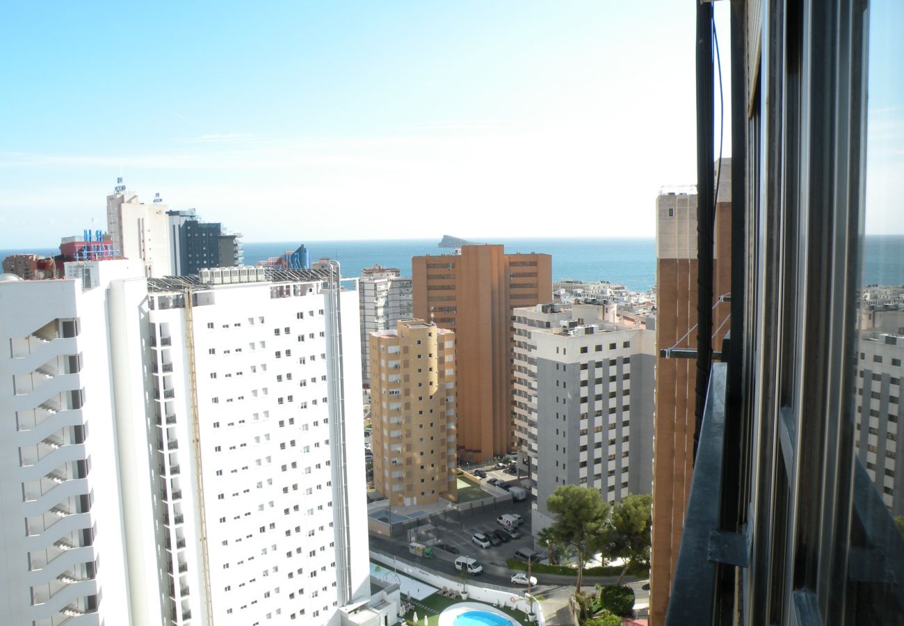 Apartamento em Benidorm - ACACIAS 4 (1 CUARTO)