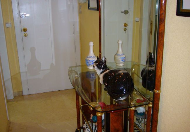 Estúdio em Benidorm - SANTA MARGARITA (ESTUDIO) Estúdio em Benidorm - SANTA MARGARITA (ESTUDIO)