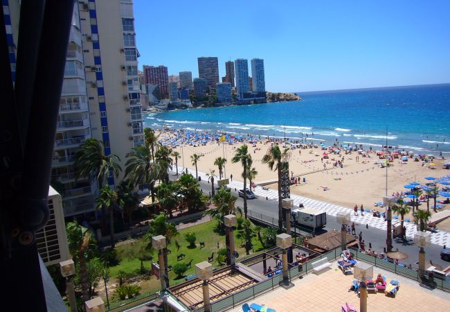 Estúdio em Benidorm - SANTA MARGARITA (ESTUDIO)