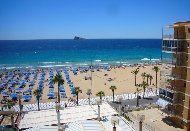 Estúdio em Benidorm - SANTA MARGARITA (ESTUDIO)