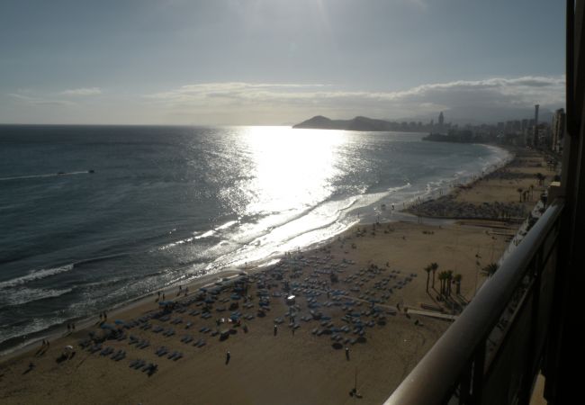 Apartamento em Benidorm - CACHIRULO (1 QUARTO) Apartamento em Benidorm - CACHIRULO (1 QUARTO)