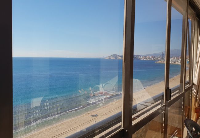 Apartamento em Benidorm - CACHIRULO (1 QUARTO) Apartamento em Benidorm - CACHIRULO (1 QUARTO)