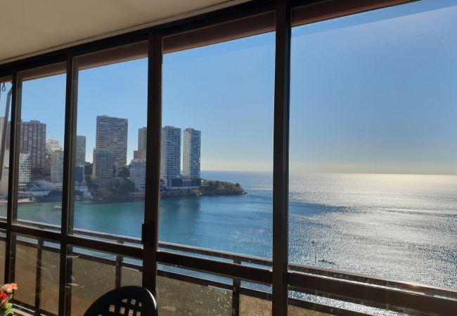 Apartamento em Benidorm - CACHIRULO (1 QUARTO) Apartamento em Benidorm - CACHIRULO (1 QUARTO)