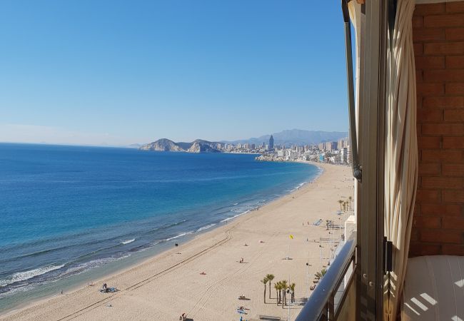 Apartamento em Benidorm - CACHIRULO (1 QUARTO) Apartamento em Benidorm - CACHIRULO (1 QUARTO)