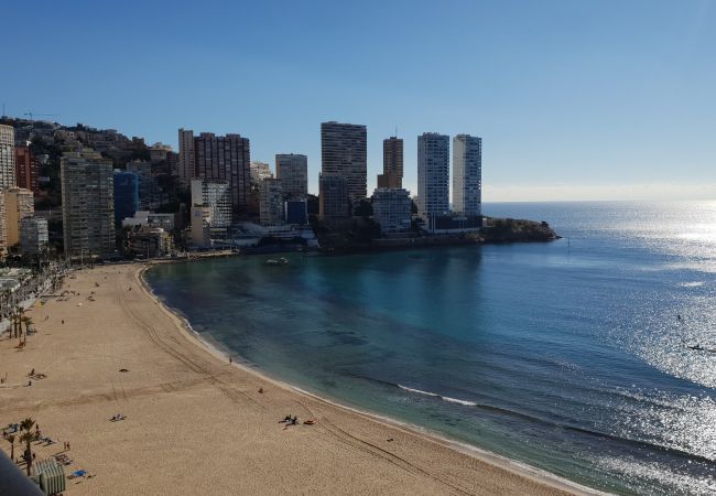 Apartamento em Benidorm - CACHIRULO (1 QUARTO) Apartamento em Benidorm - CACHIRULO (1 QUARTO)