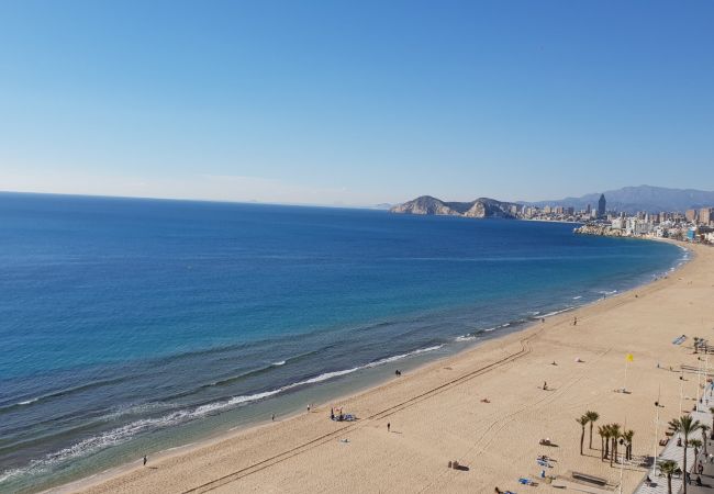 Apartamento em Benidorm - CACHIRULO (1 QUARTO) Apartamento em Benidorm - CACHIRULO (1 QUARTO)