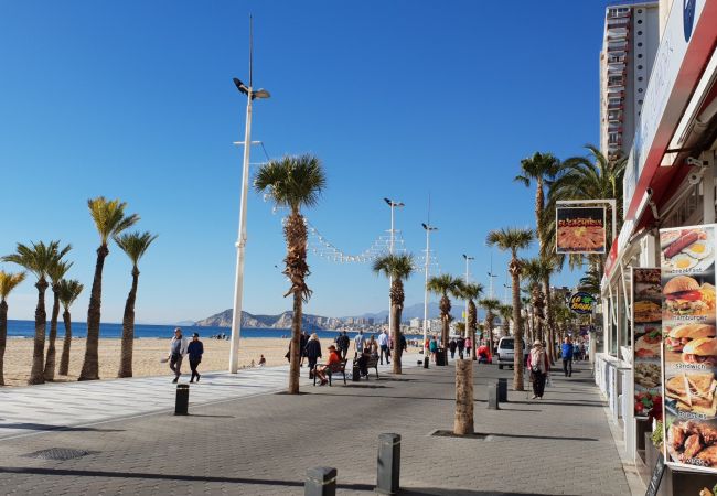 Apartamento em Benidorm - CACHIRULO (1 QUARTO) Apartamento em Benidorm - CACHIRULO (1 QUARTO)